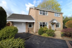 Photo 24- click for photo gallery